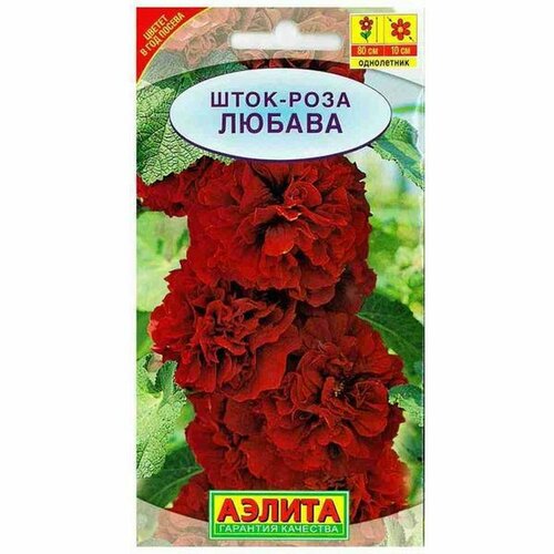 ���������� ������ ����-���� ������, ����������, (������) 15��