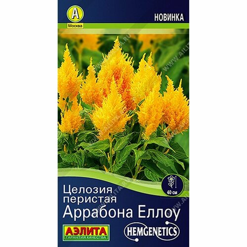 ���������� ������ ������� �������� �����, ����������, (������) 7�� Hem Genetics