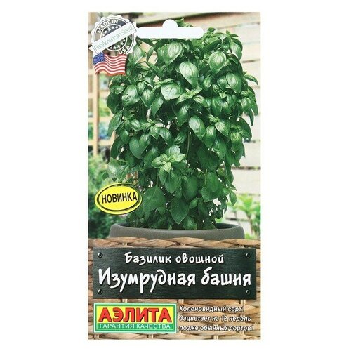 ���������� ������ ������� ������� ���������� �����, 10 ��