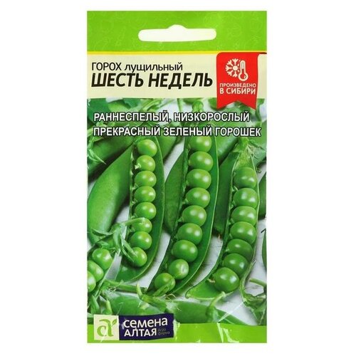 ���������� ������ ����� 