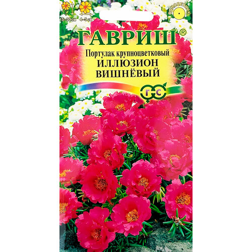 ���������� ������. �������� 