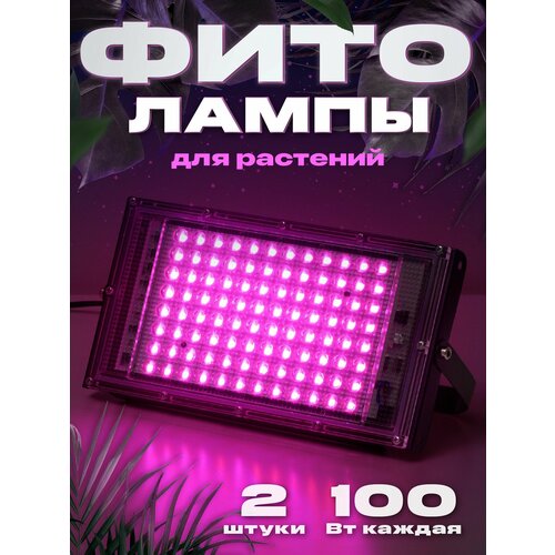 ���������� Ocean of Light, ��������� ����� ��� ��������, ���������������� ����� ������������, ��������� ��� �������