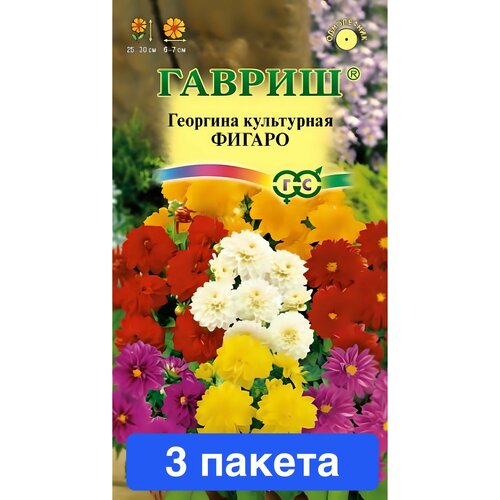 ���������� ����� �������� ������ 3 ������