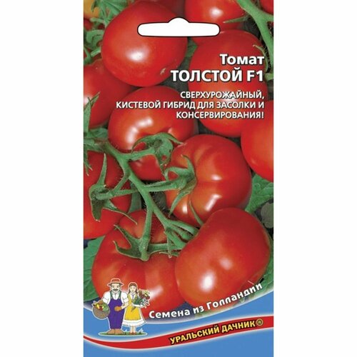 ���������� ������ ����� ������� F1 (��������� ������) 10��