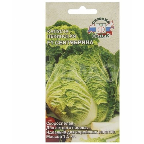 ���������� ������� ��������� ���������� F1 (0,3 �) 1 �����