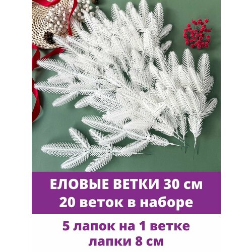 ���������� ������ ����� � ����� ������������� ��� ������, 5 ����� �� �����, ����� 30 ��, 20 �����