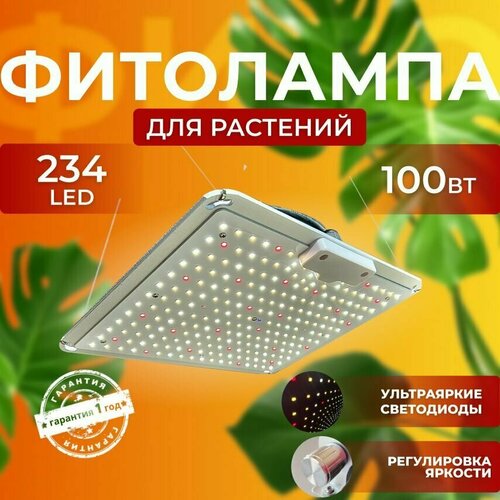             Quantum board 100  234 LED   , -, 