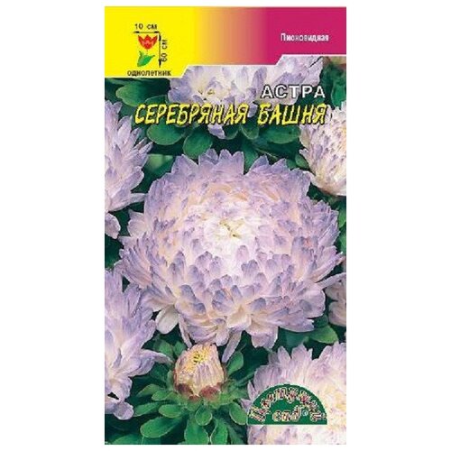 ���������� ������ �������� ��� 