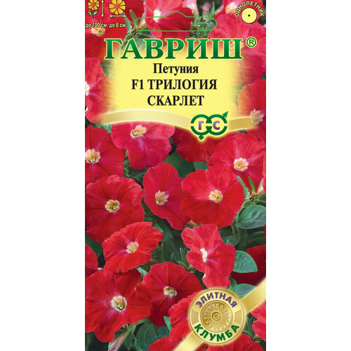 ���������� ������ ������� �������� ������� F1 ��������� 4�� ��� 100�� (������) ������� ������