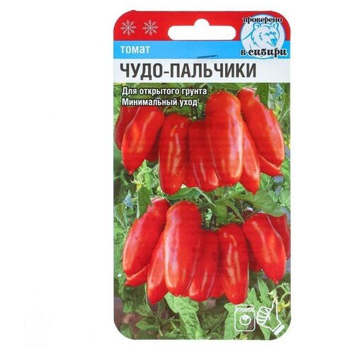 ���������� ������ ����� 