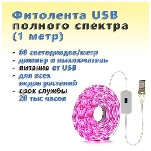 USB            (1 , 60 /)   , -, 