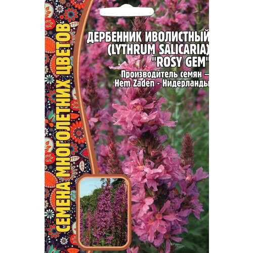   / Lythrum salicaria ROSY GEM,  ( 1 : 0,05  )   , -, 