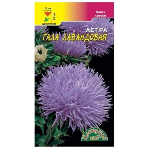 ���������� ������ �������� ��� 