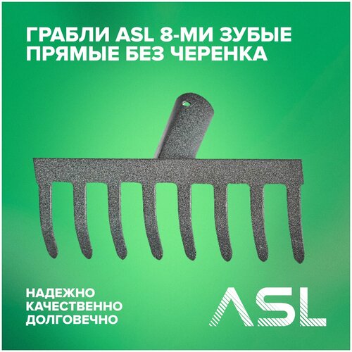  ASL 8-       , -, 