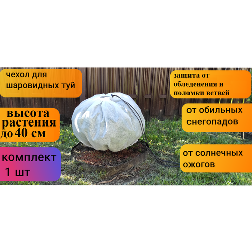 ���������� ������ ����� ��� ������ � �������� � ��������/��� ���������� ���/��� ���/��� ��������������/��� ��������� ������ 40*80 ��, 1 ��.