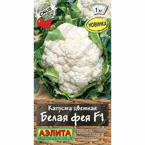 ���������� ������ ������� ������� ����� ��� F1 (�����������) (������) 10�� ���