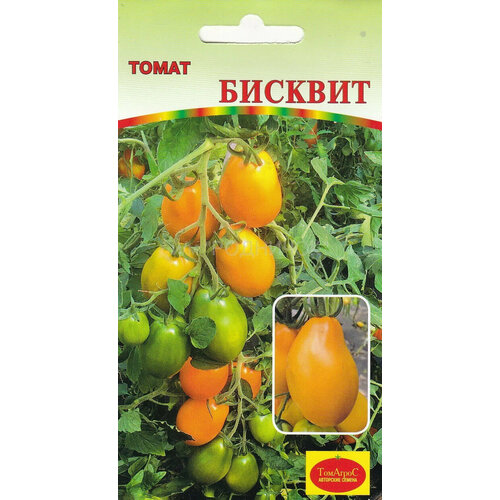 ���������� ������ ����� ������� 10�� ����� (�����)