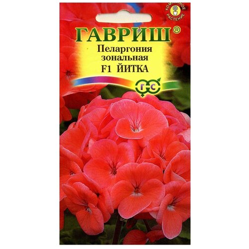 ���������� ������ ������ ���������� ��������� ����� F1 4 ��.