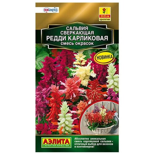 ���������� ������ ��������� ������ ������� ����� ����������, ����� ������� 7 ��.