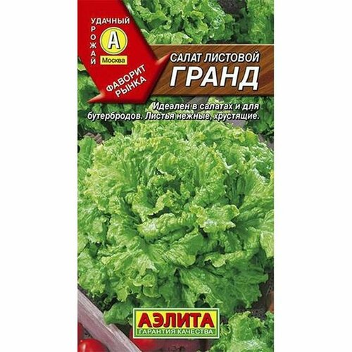 ���������� ������ ����� ����� �, �������� (������) 0,5�