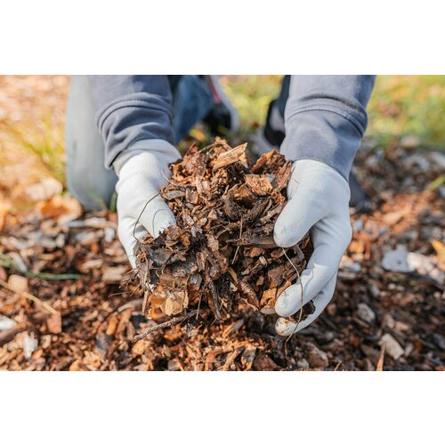 ���������� ������������� / ����� ��� ������������� / ���� ������ ��������/ ������� ������� / �������� 45 �.