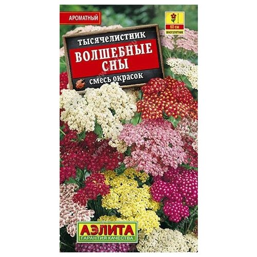 ���������� ������. ������������� 