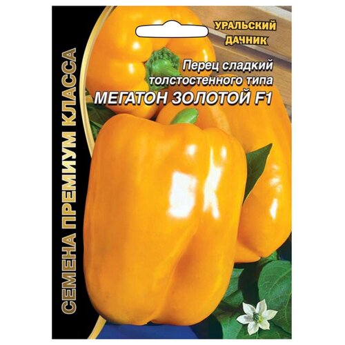 ���������� ������ ��������� ������ ������� ����� ������� ������� ������� F1 12 ��.