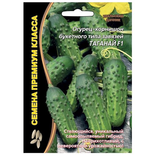 ���������� ������ ��������� ������ ������� ������ ������� F1 5 ��.