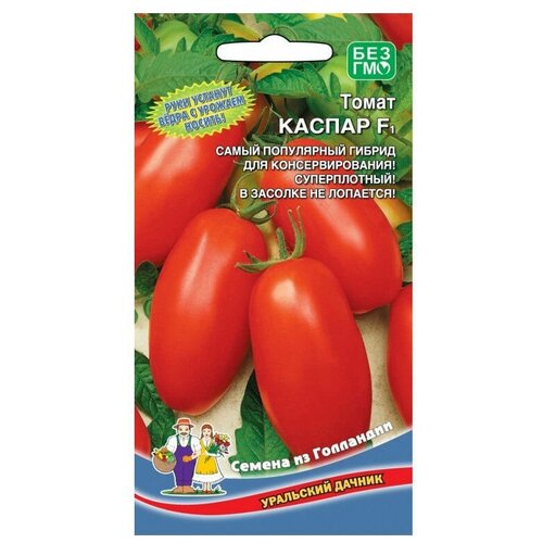 ���������� ������ ��������� ������ ����� ������ F1 12 ��