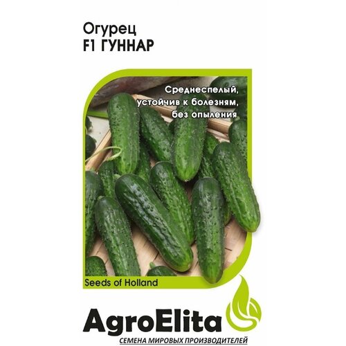 ���������� ������ ������ ������ F1, 5��, AgroElita, Enza Zaden