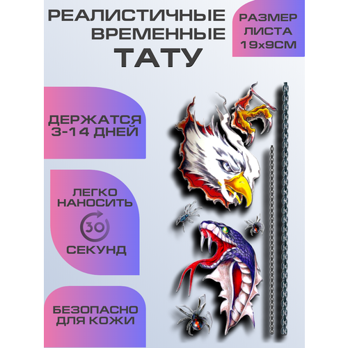 ���������� ���� ���������� ��������������, ��������� ����