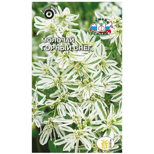 ���������� ������ ����� ������� ������ ����