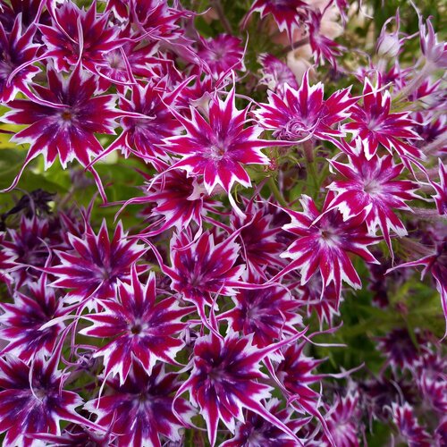 ���������� ����� F1 �������� �����, ����� ����� �������� �������� � ������ ���������� ������� � ����� ������������� ���������, 5 �� �����