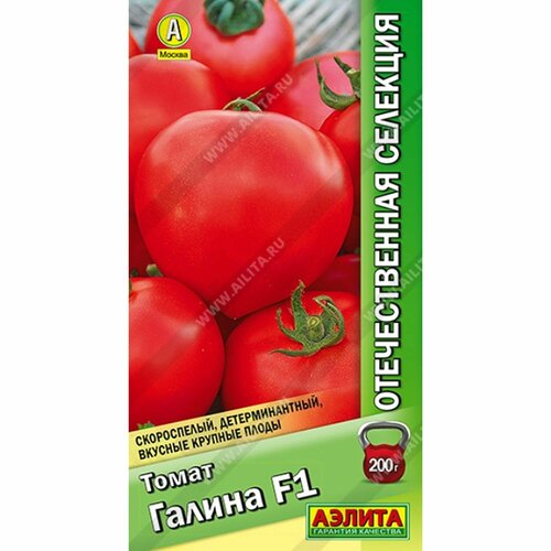 ���������� ������ ����� ������ F1 (������) 10�� ������������� ��������