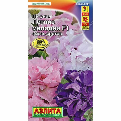 ���������� ������ ������� ������ ������� F1, ����� ������, ����������, (������) 5��