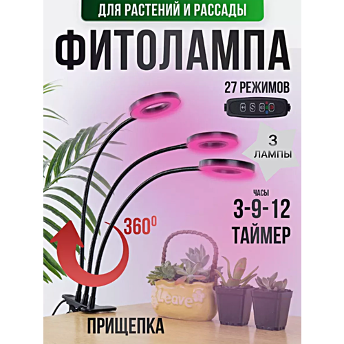 ���������� ��������� ��������� ��� �������� � �������, ���������������� ����� �� �������� ��� �������� ����, ����, 3 �����