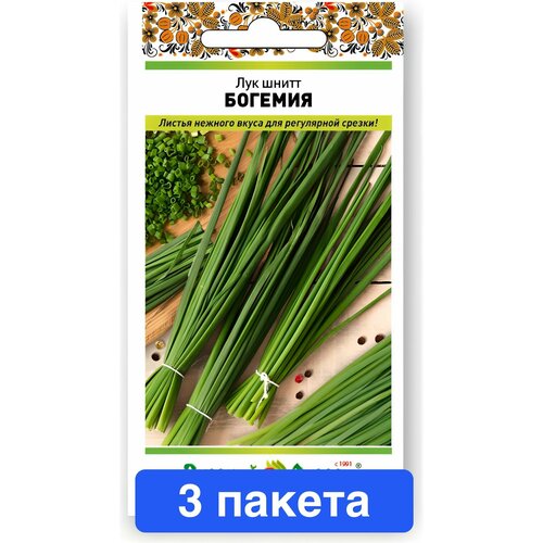 ���������� ������ ������ � ��������� ������� ������ 