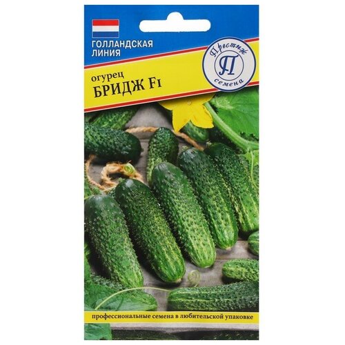 ���������� ������ ������ 