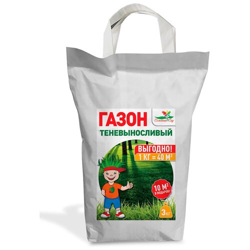 ���������� ������ �������� ���� ������� ������ 