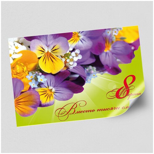 ���������� ����������/������ �������������� �� 8 �����, ������ �-1 (84x60 ��.)