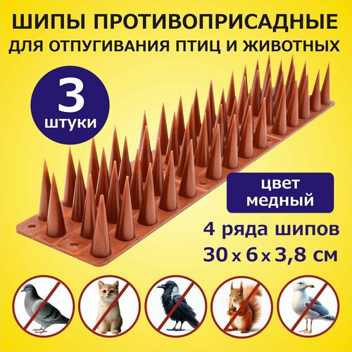 ���������� ���� ���������������� ����������� ��� ������ �� ���� � �������� ��� ������ 3 ������