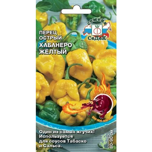 ���������� ����� ������ �������� ������ (3 ��������), ������