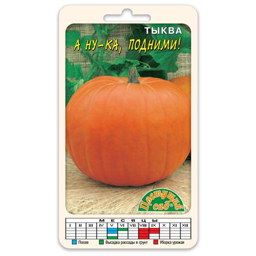 ���������� ����� 