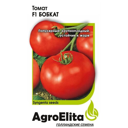 ���������� ������ ��������� 