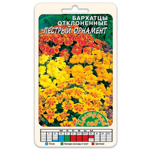 ���������� ������ �������� ��� 