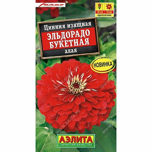 ���������� ������ ������ ��������� �������� ����, ����������, (������) 12��