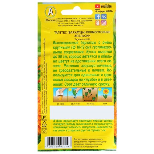 ���������� ������ ������ �������� 