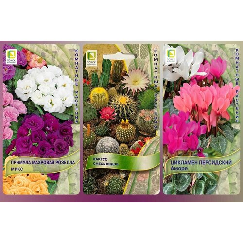 ���������� ������ ��������� �������� �������, ������, ��������. ������������. ����� 3 ��������