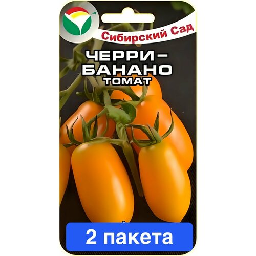 ���������� ������ ������ ��������� ��� 