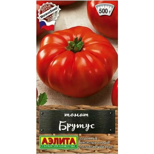 ���������� ������ ����� ������ 20�� ����� (������) ������� ������� ��������